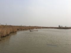 -盐城丹顶鹤湿地生态旅游区