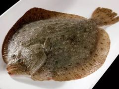 多宝鱼-杭州登云路农贸市场(胜月院店)