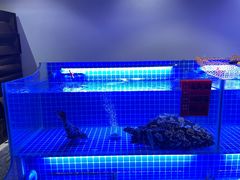 -新加坡瑞珍•海河观景餐厅