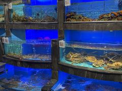 -兴仙饭店·闽味海鲜(马尾总店)