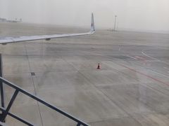 -青岛胶东国际机场