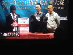 -我爱吾宠宠物美容院(朝阳路店)