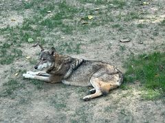 -北京野生动物园