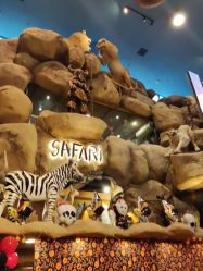 -卡通尼·Safari非洲探索乐园·生日会(金桥国际商业广场店)