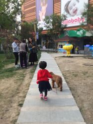 -萌宠亲子动物乐园(槐房万达店)