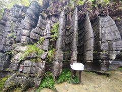 -梭布垭石林景区