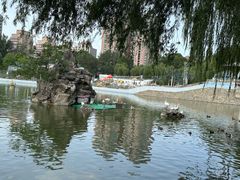 -团结湖公园