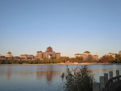 -莲花池公园