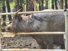 -秦皇岛野生动物园