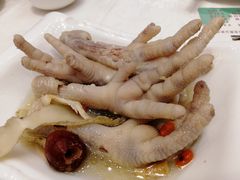 药膳浸凤爪-百乐门喜宴(海珠广场华厦店)