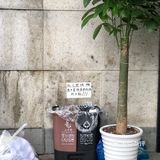 随手拍，生活片段。