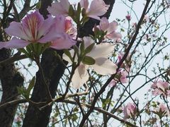 -天河体育中心