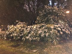 -苏州大学独墅湖校区-第8食堂(崇文路店)