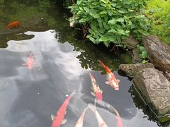 -聚福宝合苑食府(南头镇店)