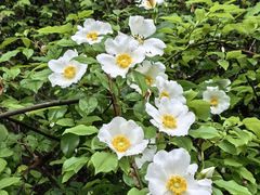 -常德桃花源景区