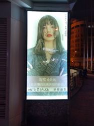 -蚂蚁造型俱乐部