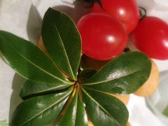-季季山·云南野生菌火锅(上海首店)