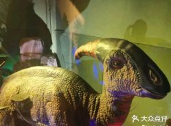 -恐龙探索乐园(磁器口店)