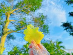 -白沙门生态公园