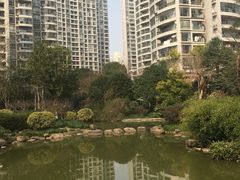 -新湖明珠城