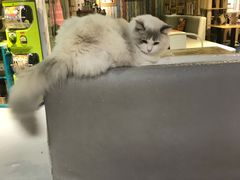 -小时光咖啡馆(开森度假森林店)