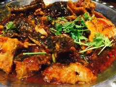 -Local泰莲庭(虹鳟鱼店)