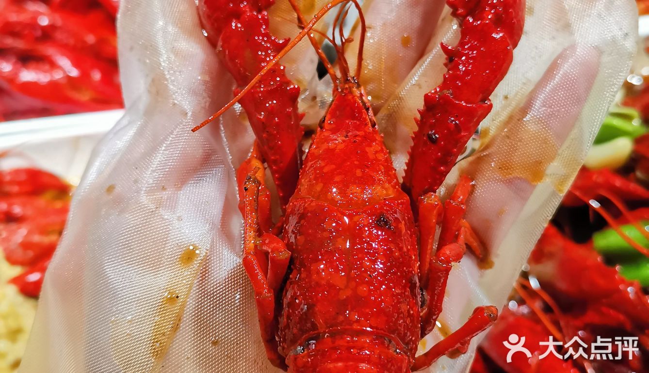 嘦大肚皮龙虾吃02只要大肚皮