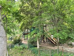 -南京老山国家森林公园