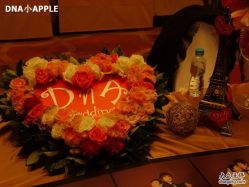 -DNA Wedding 婚礼记(上海店)