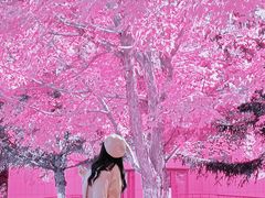 -长春世界雕塑园冰雪艺术天地