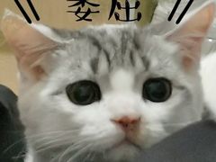 -吉野家(服装城店)