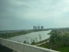 -大湾区中央湿地公园-十九涌