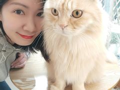 -猫咪派对(江南西店)