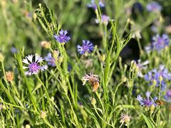 -中关村生命科学园