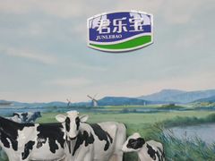 -君乐宝优致牧场