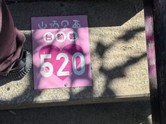 -宝岩生态观光园