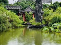 -广州神农草堂中医药博物馆