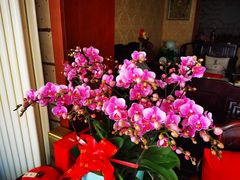 -三旗百汇商品城