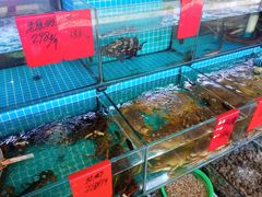 -洲晓鲜·舟山海鲜大排档(朱家尖风景区店)