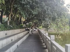 -中山公园(石岐街道)