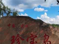 -珍宝岛
