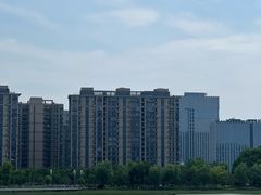 -金沙湖公园