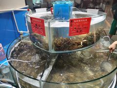 -四海蒸鲜蒸汽海鲜自助(北戴河店)