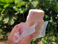 树莓香草-詹爷爷乌节路街头冰淇淋