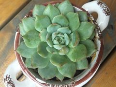 -恒盛豪庭