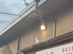 -春秋火锅