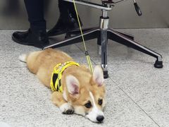 -招商银行(北京三里屯支行)