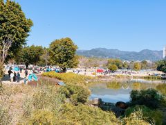 -牛岗山公园