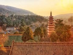 -平顶山博物馆