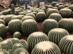 -南通洲际绿博园